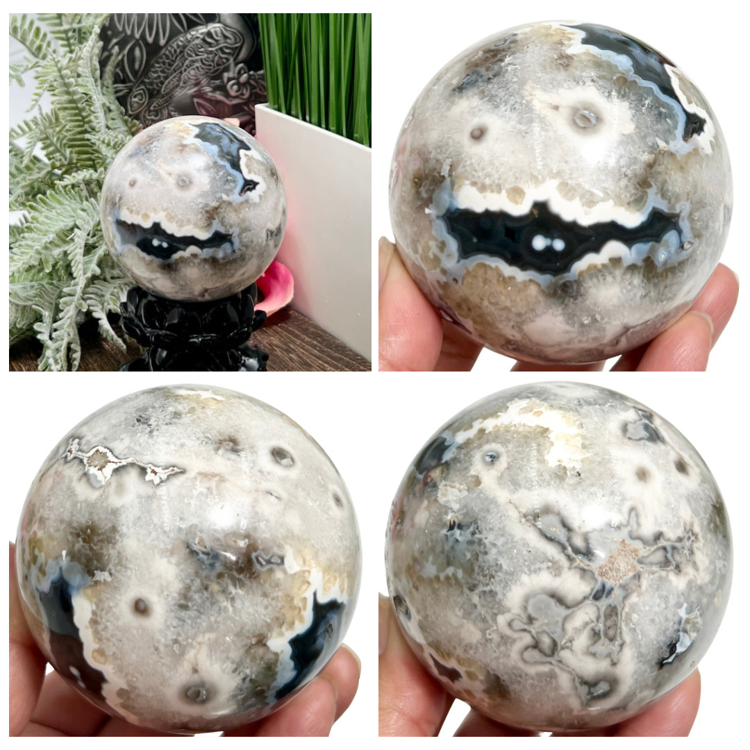 Argentina Black Flower Agate Sphere Healing Crystal Ball 593g 75mm