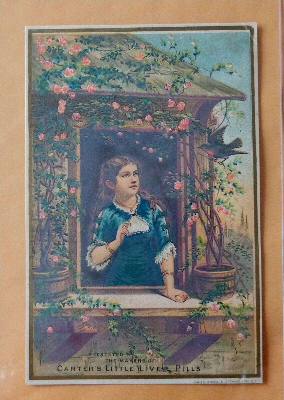 1880s Carter\'s Little Liver Pills New York City Victorian Trade Card (Girl Bird)