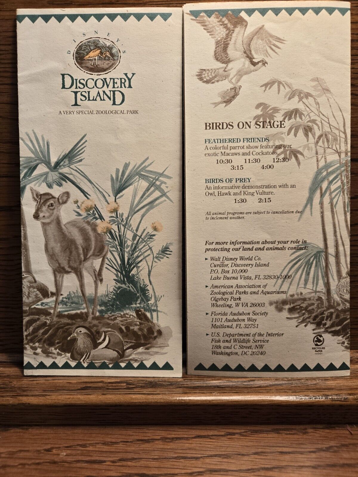 Walt Disney World Discovery Island Map & Guide 1980s? VERY VERY GOOD