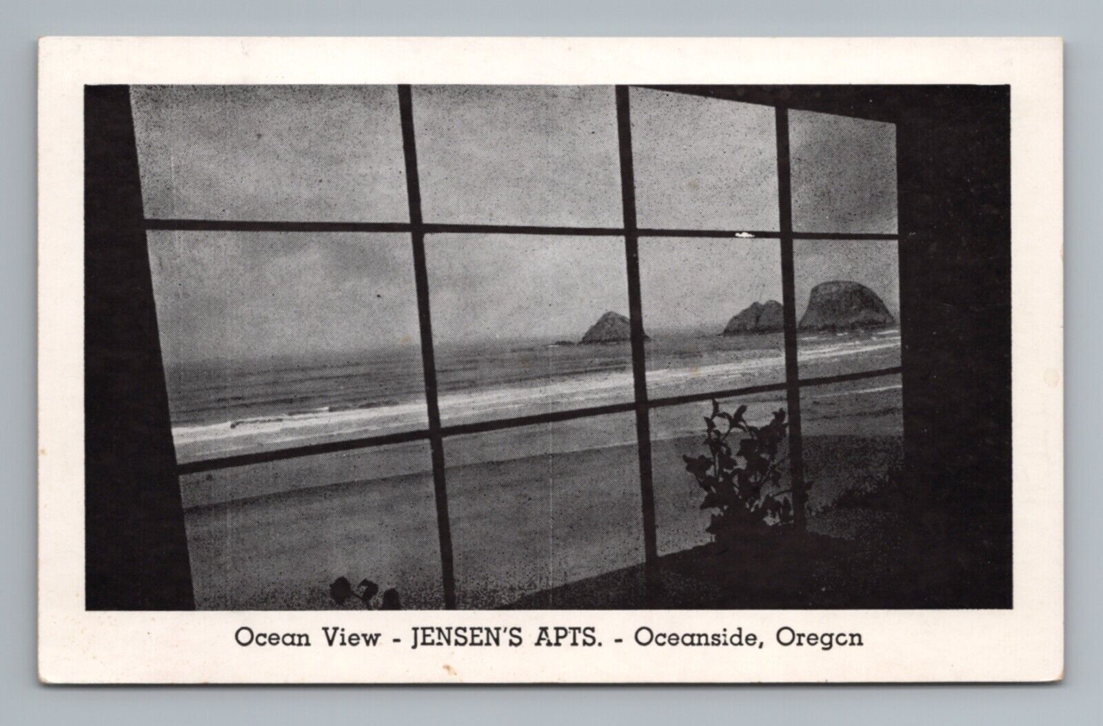 Ocean View Jensen\'s Apartments Oceanside Oregon Postcard