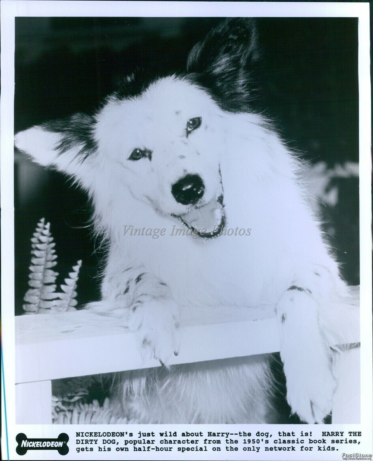 Vintage Nickelodeon\'S Live-Action Special Harry The Dirty Dog Tv 8X10 Photo