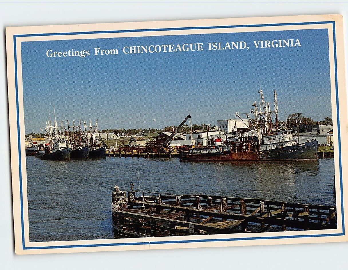 Postcard Greetings from Chincoteague Island Virginia USA
