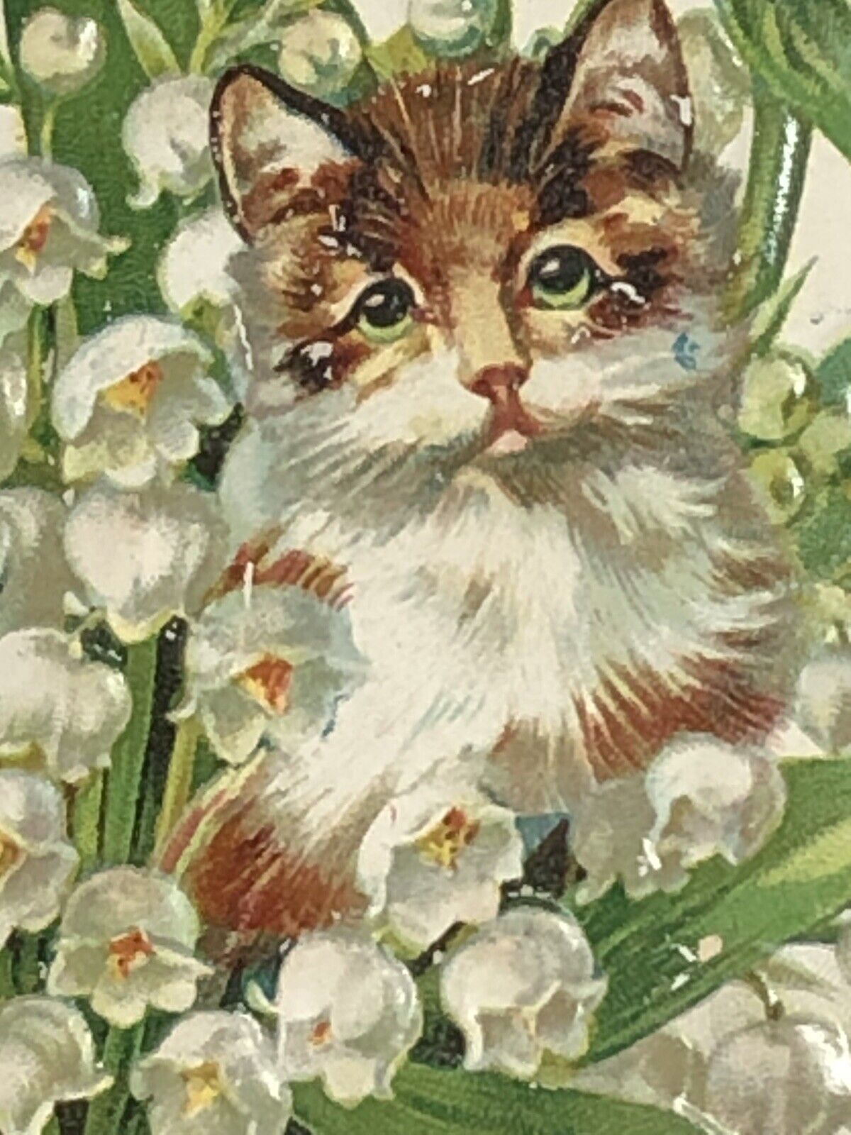 Tucks Cat Valentine Postcard Loves Token To My Sweetheart Lilies of the Valley