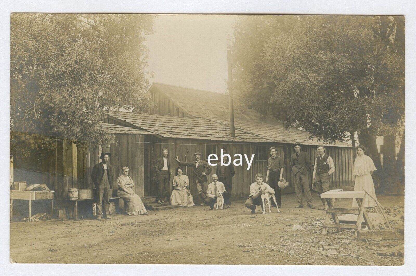 1915 circa. Neighbors gather with their dogs. Some Construction tools # 7  RPPC