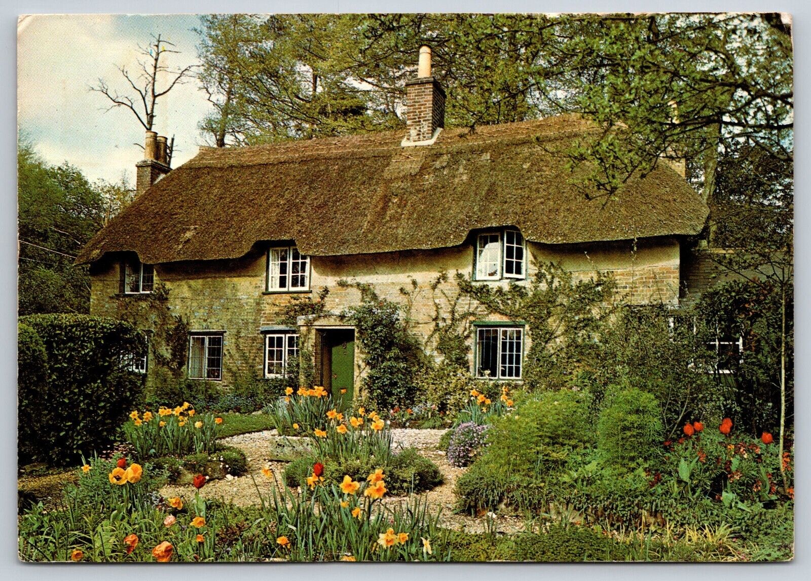 Postcard - England Dorset Higher Bockhampton Thomas Hardy\'s birthplace c1980  25