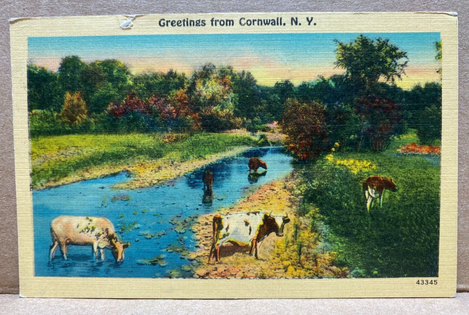 Greetings from Cornwall New York Linen Postcard No 1383