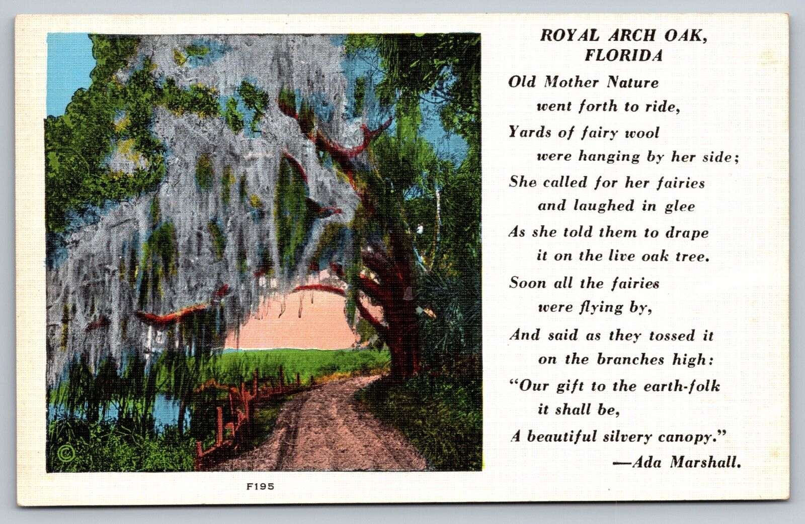 Royal Arch Oak FL, Poem By Ada Marshall, Florida Vintage Postcard
