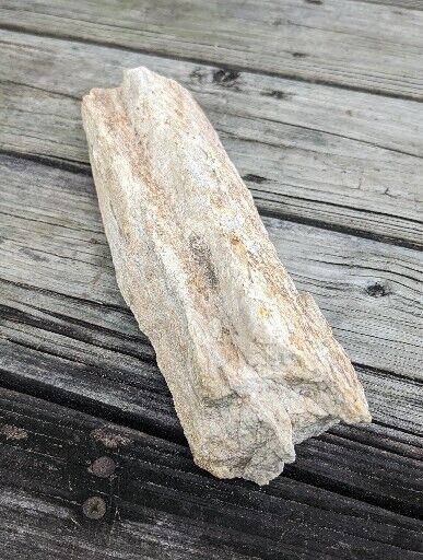 Large, Prehistoric Paleo-American, petrified wood. Well Defined.