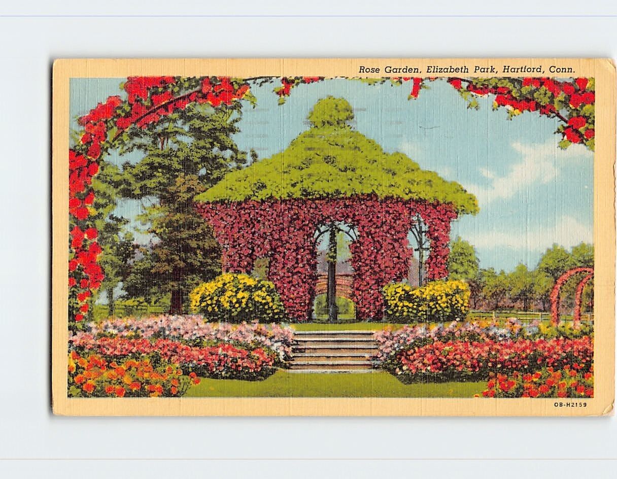 Postcard Rose Garden, Elizabeth Park, Hartford, Connecticut