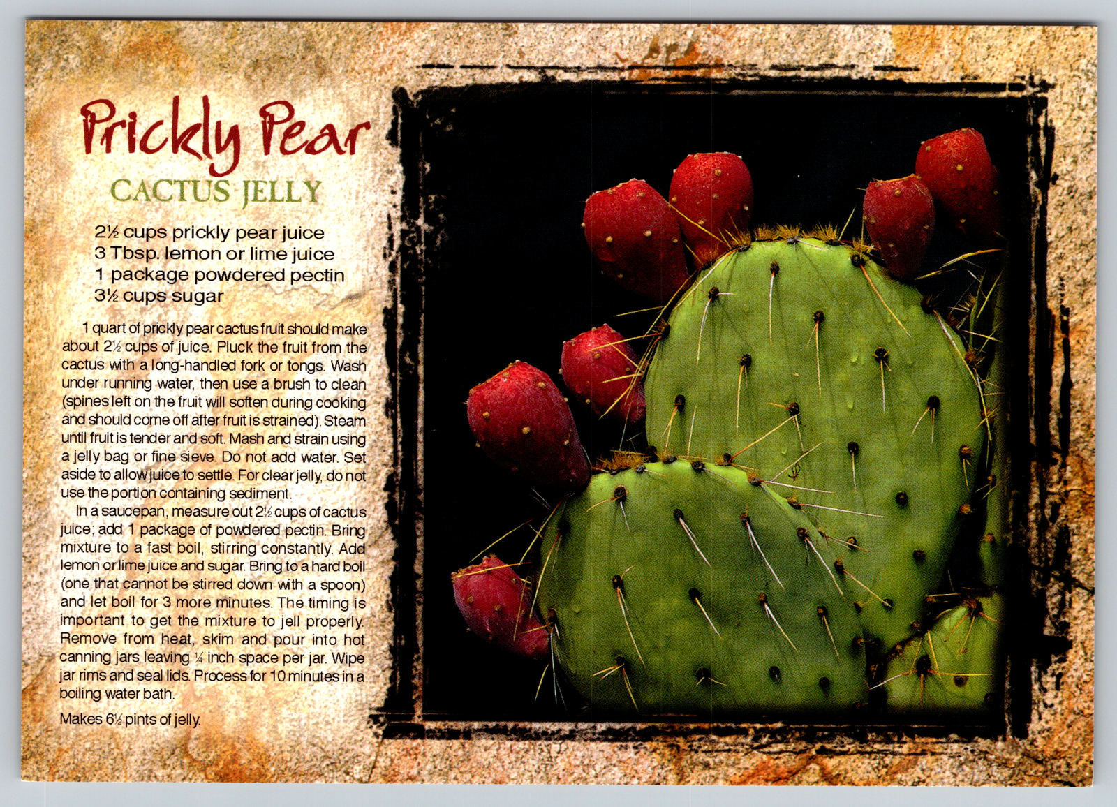 c1970s Prickly Pear Cactus Jelly Vintage Postcard