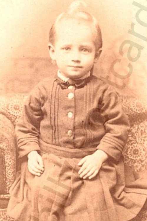 CDV Photo 1800\'s Chicago, Il. Antique Portrait Of Victorian Child Henry Iverson