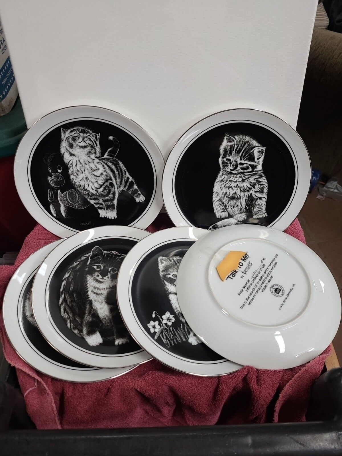 Set of 6 Kittens World ROYAL CORNWALL Plates by DROGUETT Cats Black & White 8”
