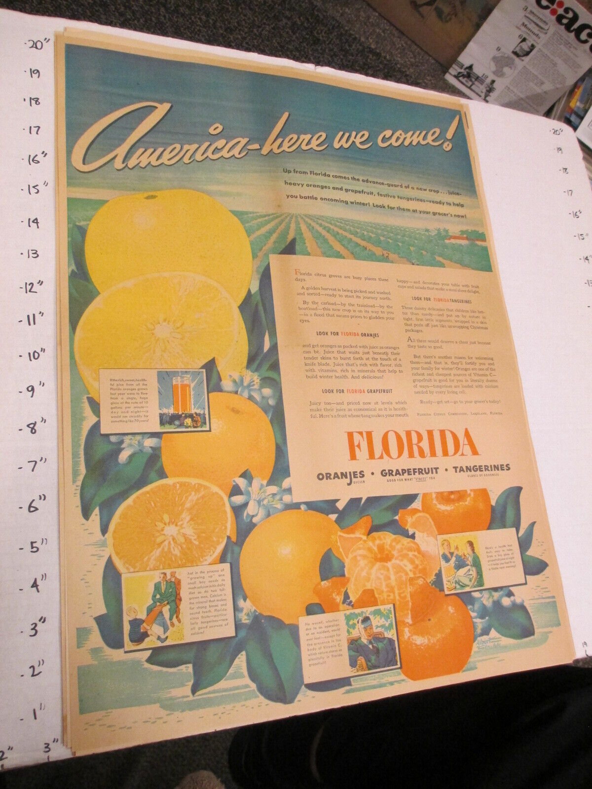 newspaper ad 1939 FLORIDA citrus fruit oranges grapefruit tangerines AW FULL
