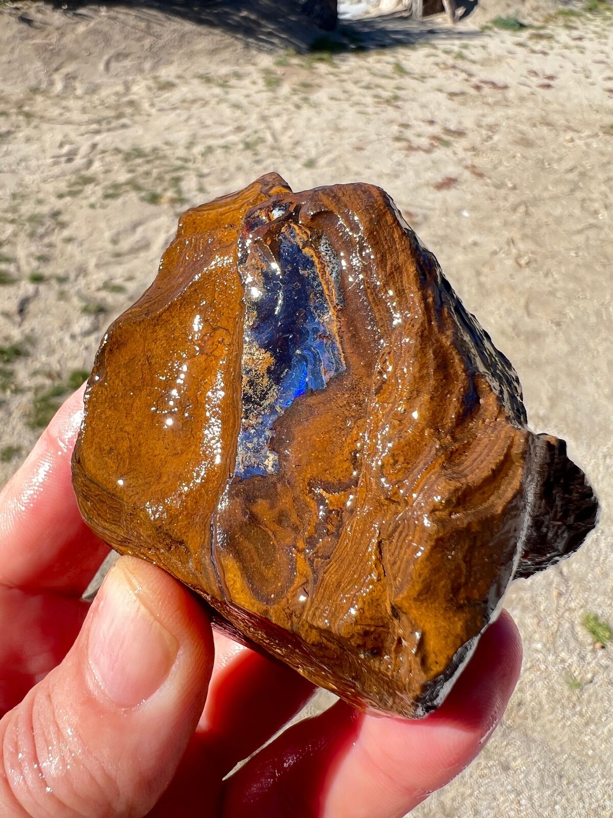 Big Blue Queensland Australian Boulder Opal Nugget 8oz
