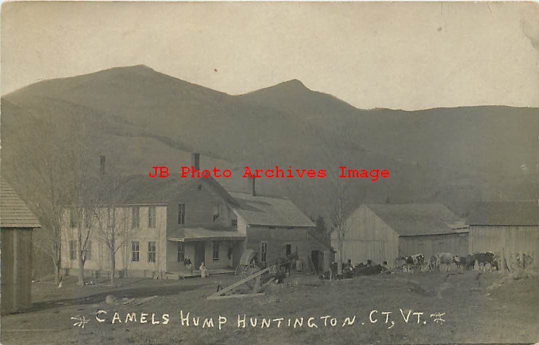 VT, Huntington, Vermont, RPPC, Farm House, Exterior View, Cows, Photo