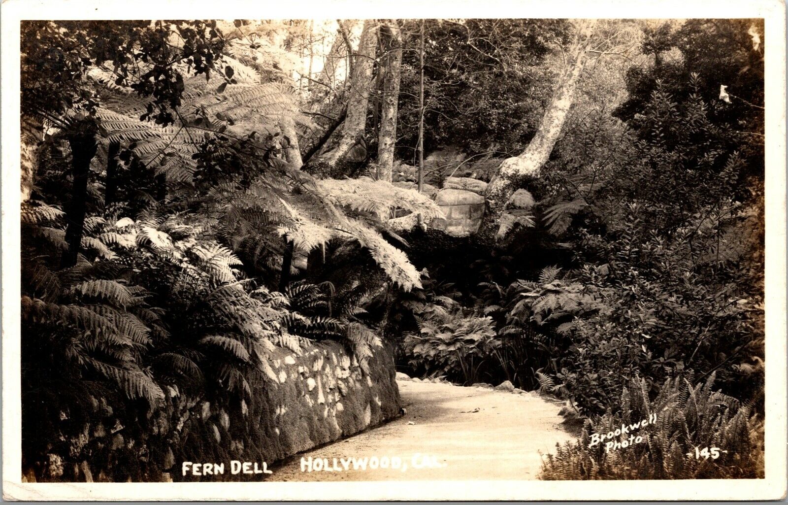 Vtg Fern Dell Trail Griffith Park Hollywood CA 1940s RPPC Brookwell Postcard