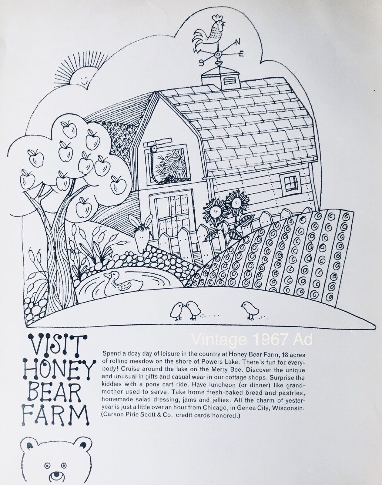 1967 Honey Bear Farm Genoa WI PRINT AD 1967 Vintage Illustration Promo