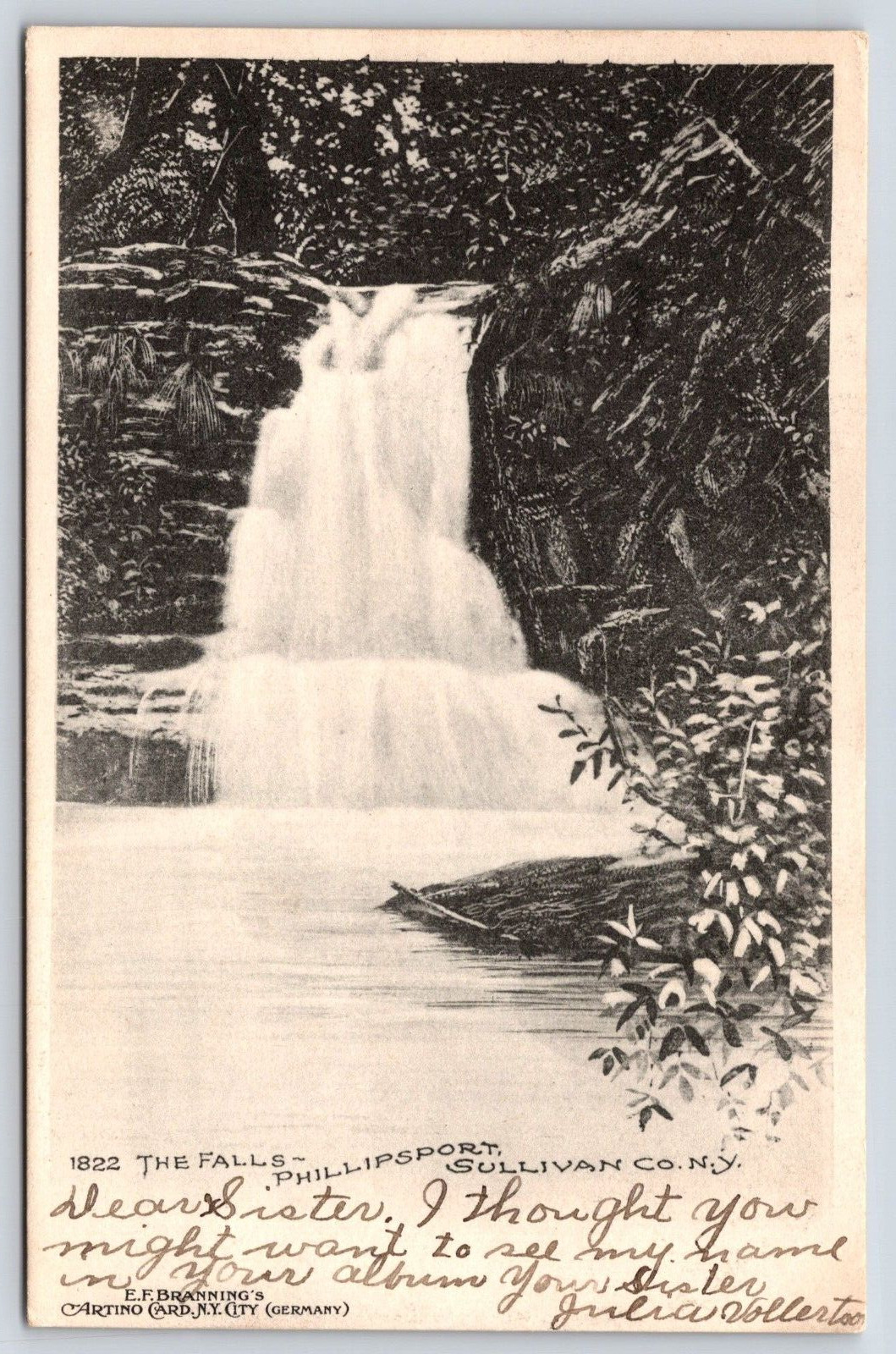 New York Sullivan The Falls Vintage Postcard POSTED 1906