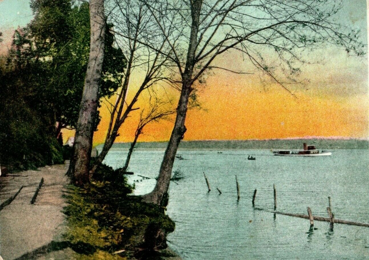 1907 Lake Washington Seattle Washington WA Posted Antique Postcard