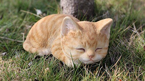 Hi- Line Gift 87699-A Kitten Sleeping Orange Tabby Cat Statue