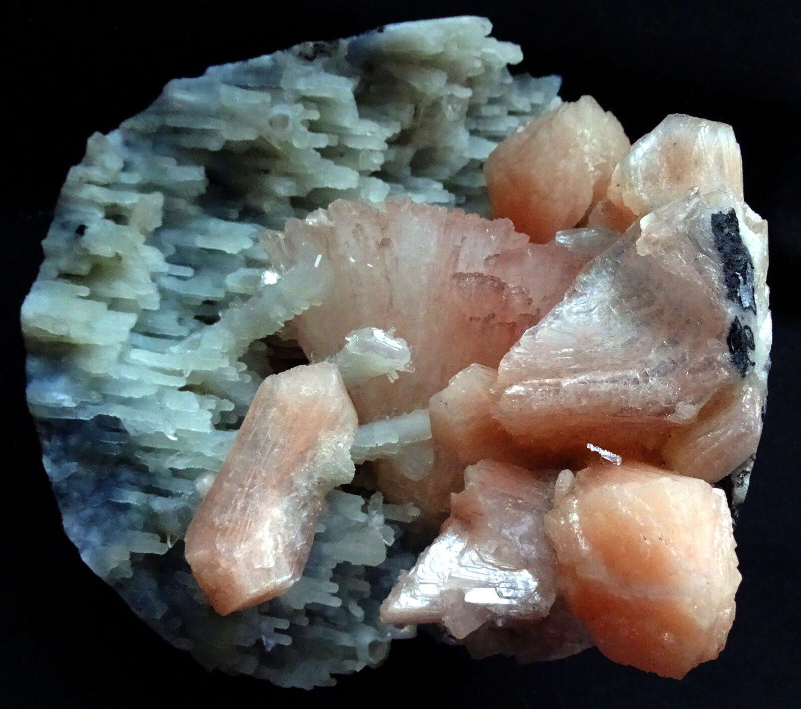 Stunning Pink Heulandite Crystals W/ Stilbite Bows In Stalactite Coral Chalcedon