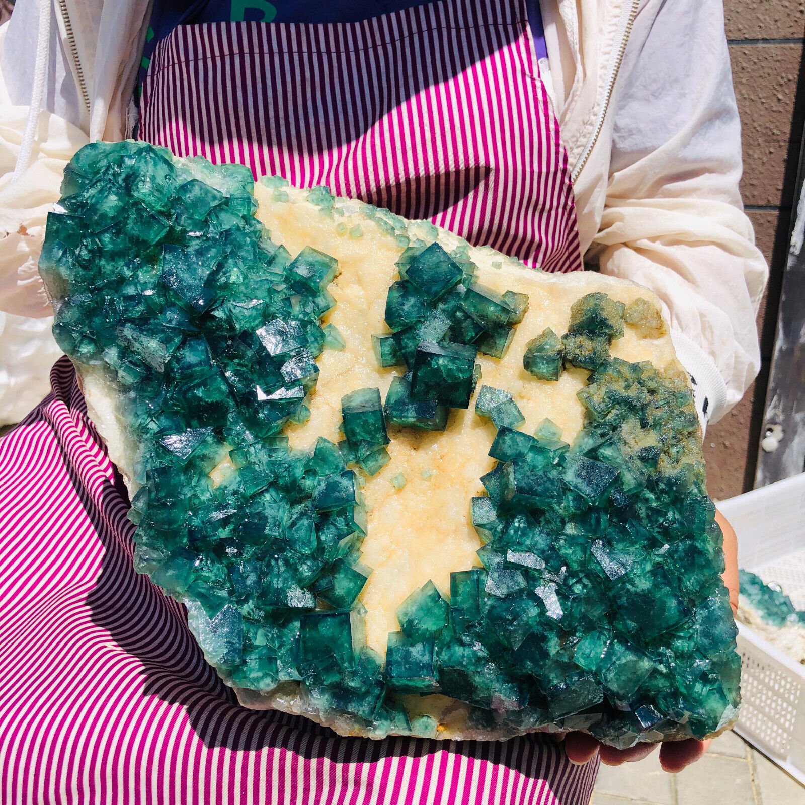 19.88LBNatural super beautiful green fluorite crystal mineral healing specimens.