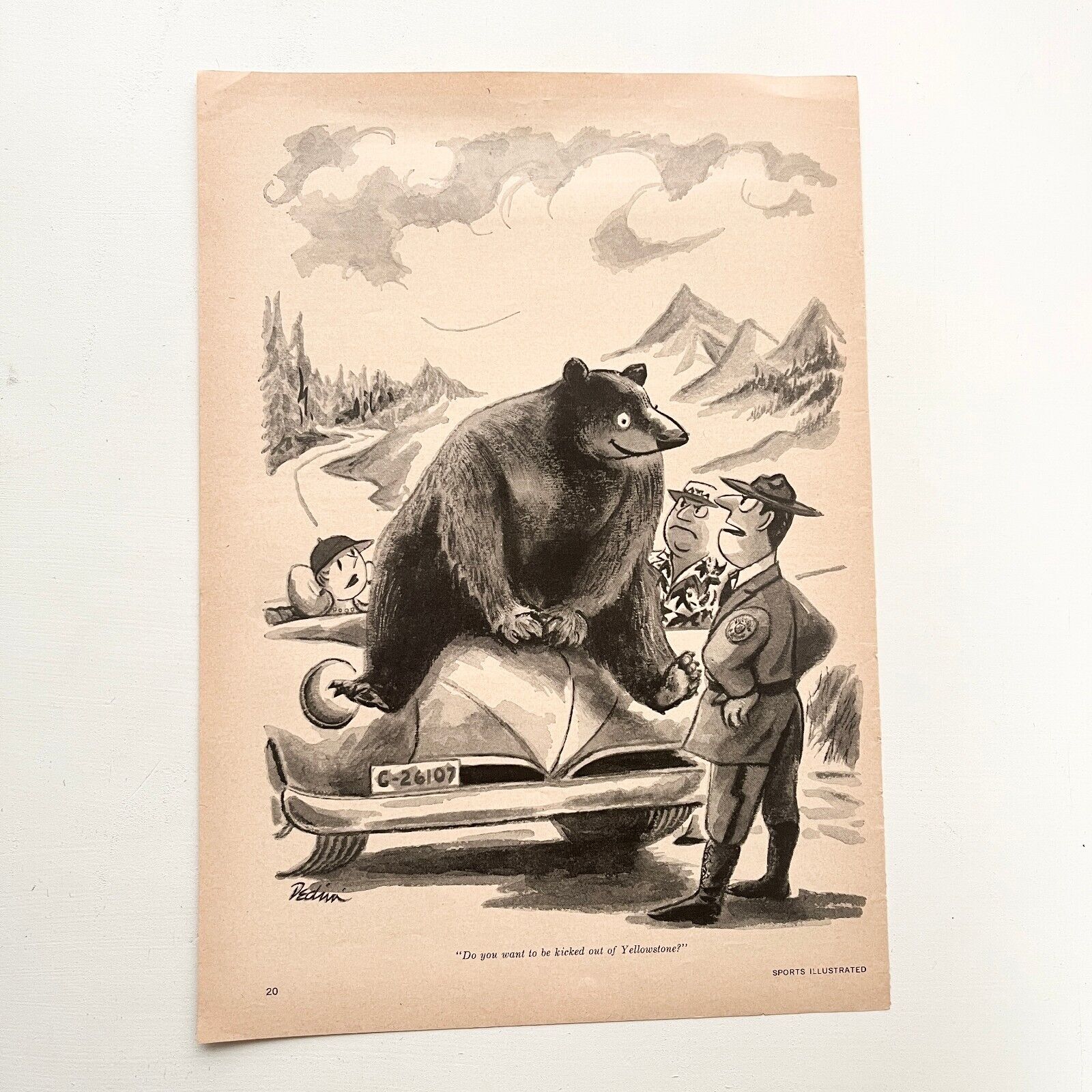Yellowstone Magazine Ad Print Grizzly Bear Car Ranger Cartoon 1950s Eldon Dedini