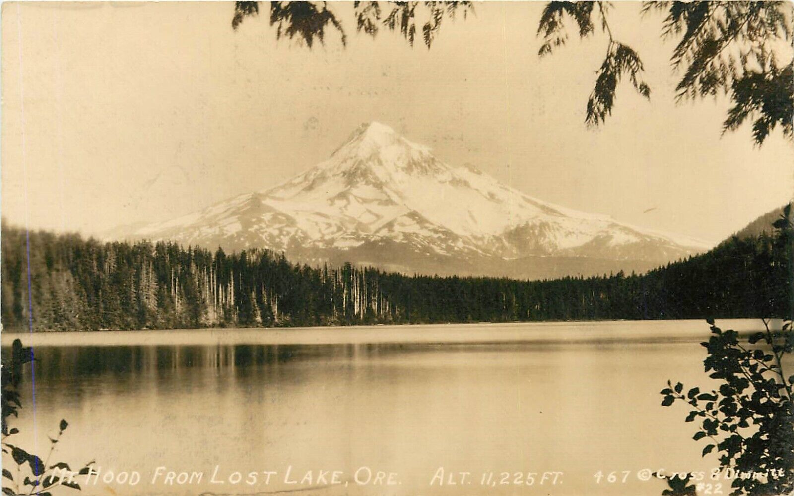 c1930s Mt Hood From Lost Lake, Oregon Real Photo Postcard/RPPC