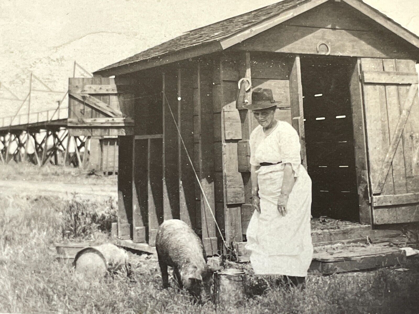 i7 Photograph Old Woman In Hat Shack Feeding Pig Partially Obstructed Foreground