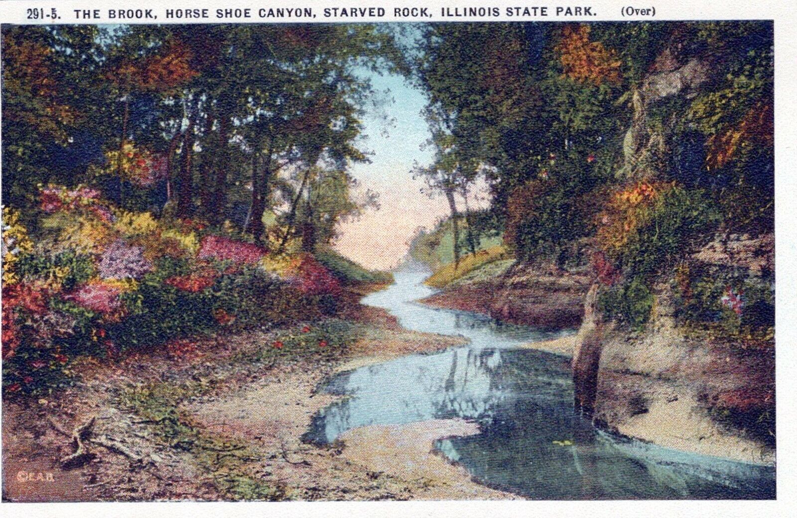 The Brook Horse Shoe Canyon Starved Rock IL Park Vintage White Border Post Card