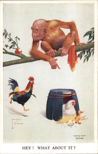 Chicken Hey What About It? Lawson Wood Valentine & Sons Publishing Co. Postcard