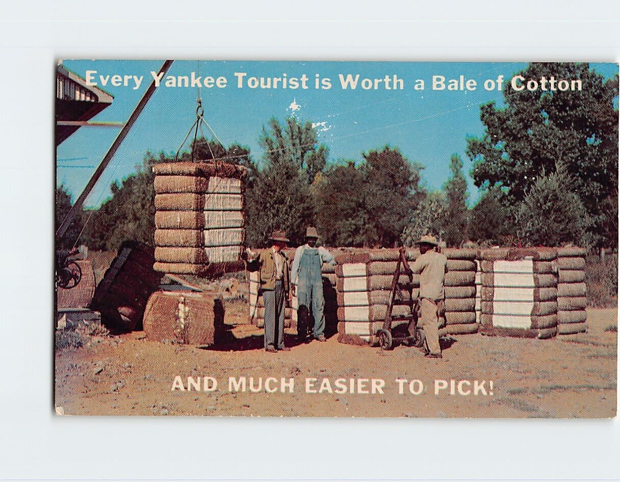 Postcard Every Yankee Tourist is Worth a Bale of Cotton And Much Easier To Pick