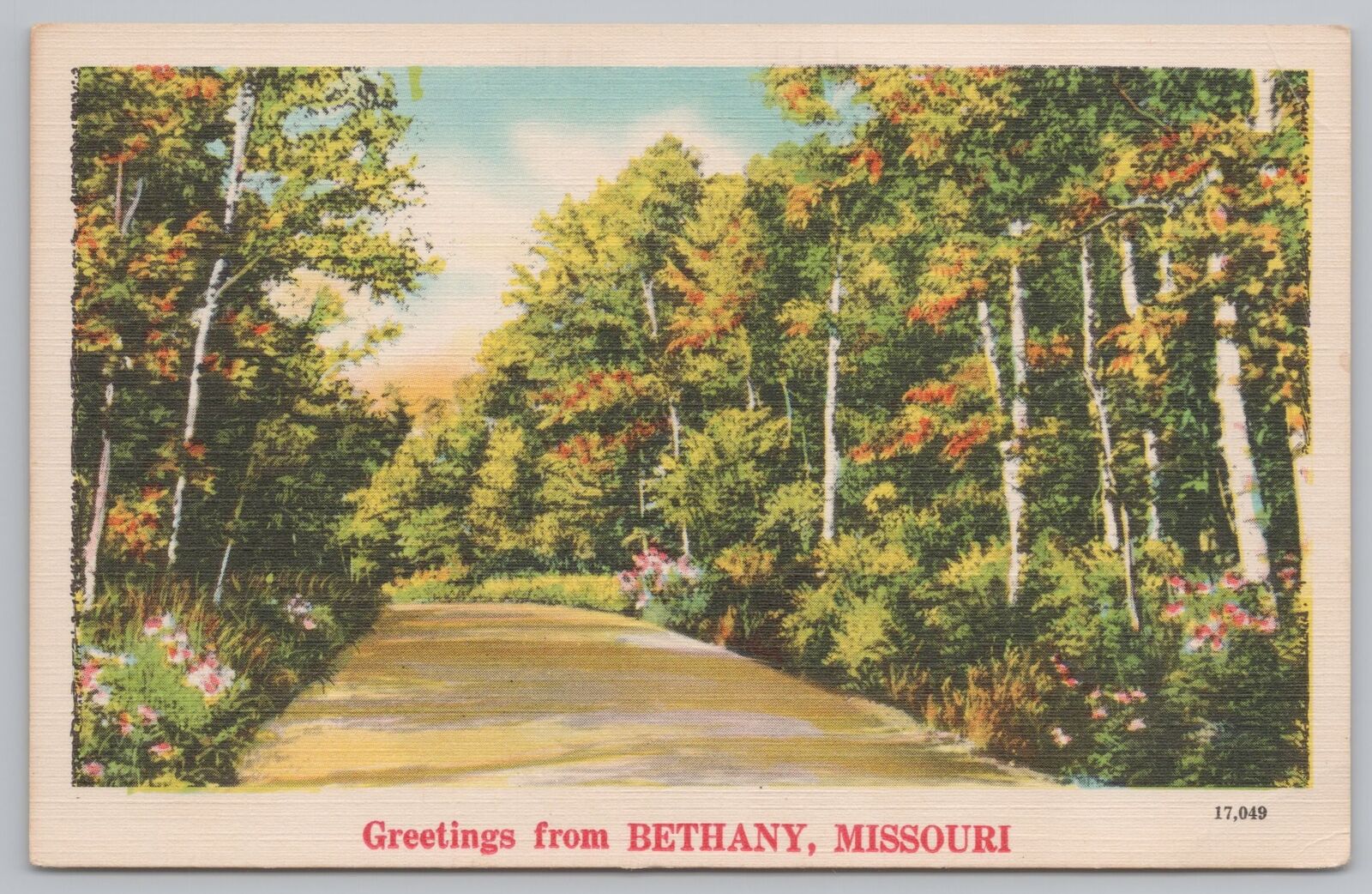Linen~Wooded Road In Bethany Missouri~Vintage Postcard