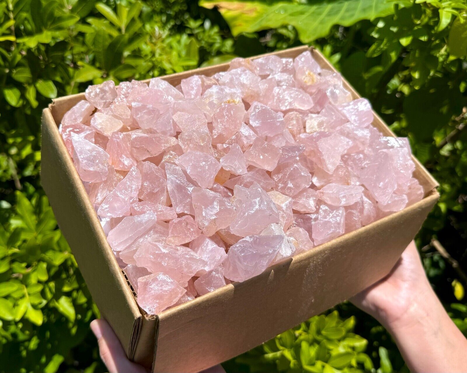 20 lb Wholesale Box Lot of Natural Rough Rose Quartz Crystals (Raw Love Stone)