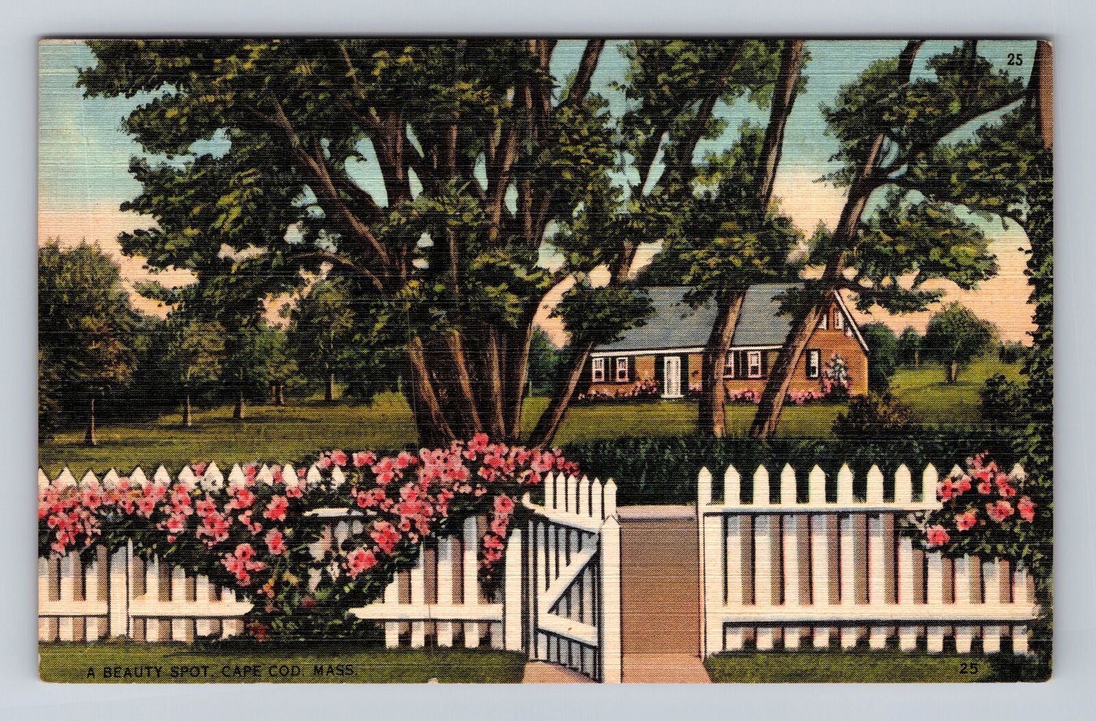 Cape Cod MA- Massachusetts, Beauty Spot, Antique, Vintage c1945 Postcard