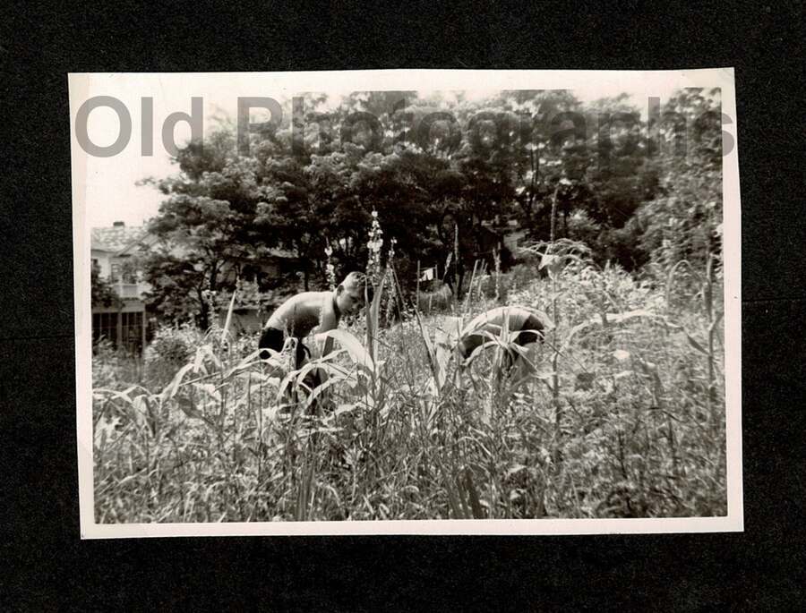 2 YOUNG GUYS IN THE TALL GRASS OLD/VINTAGE PHOTO SNAPSHOT- G868