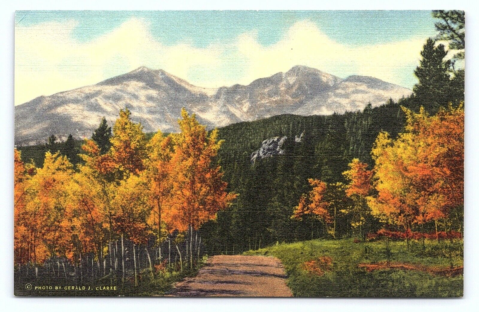 c1940 Longs Peak Framed by Aspens Rocky Mountain Ntl Park CO Linen Postcard C22