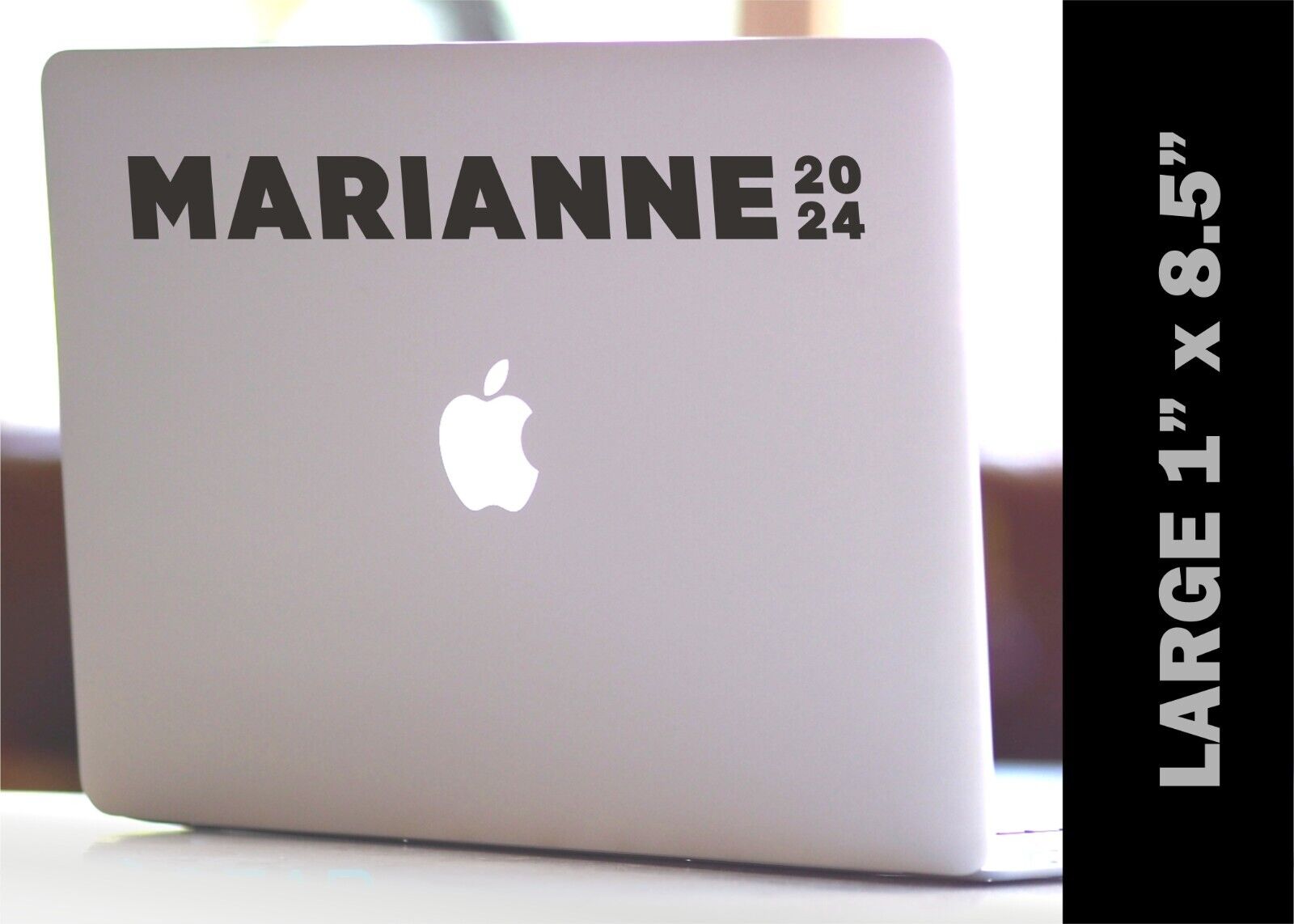 Marianne Williamson Laptop Decal Sticker