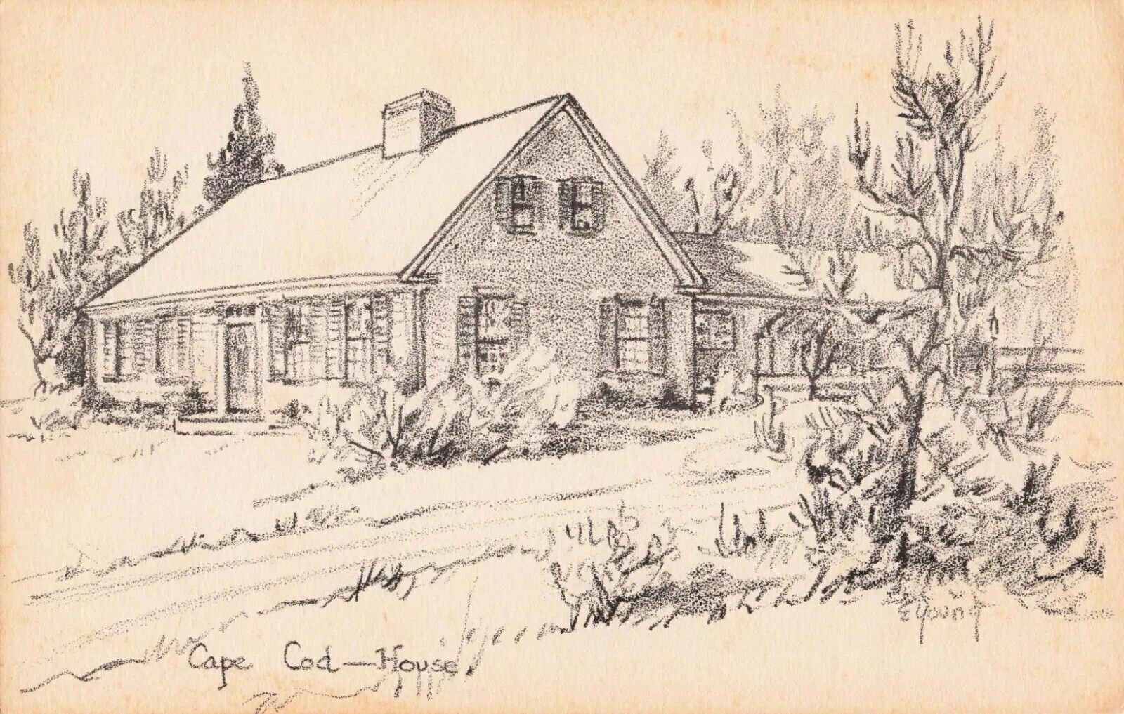 Drawing of a House on Cape Cod by E Young - Massachusetts MA - Postcard