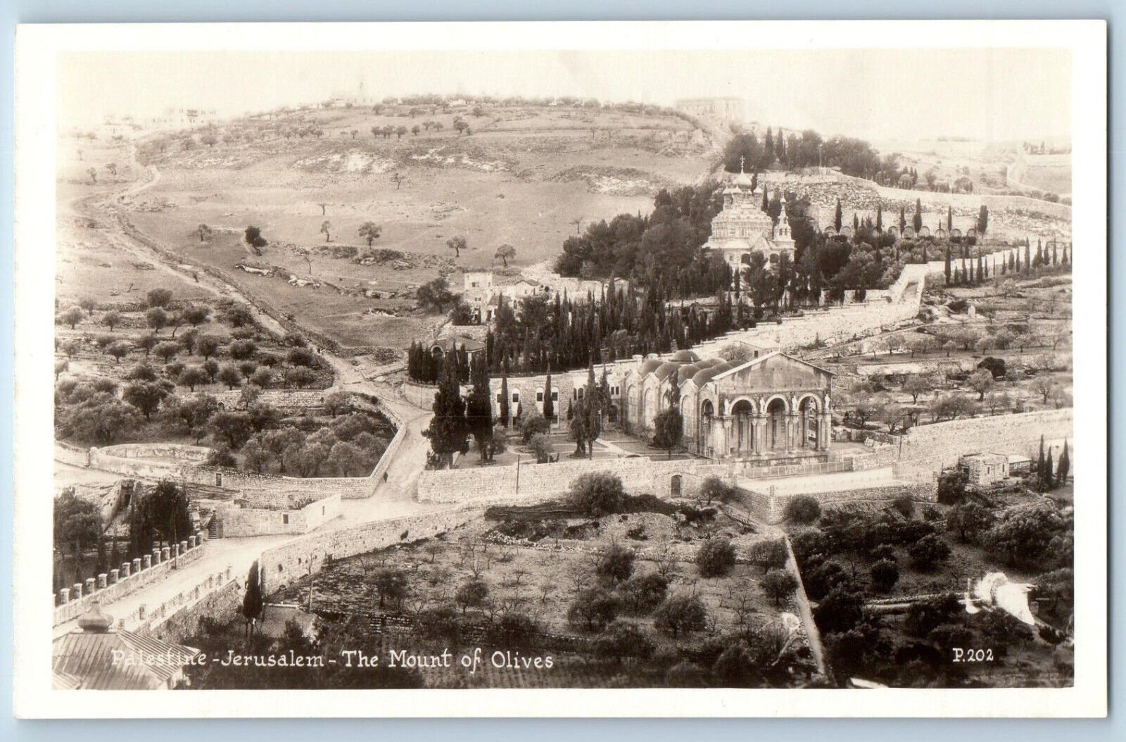 Palestine Jerusalem Postcard The Mount of Olives c1920's Antique RPPC Photo