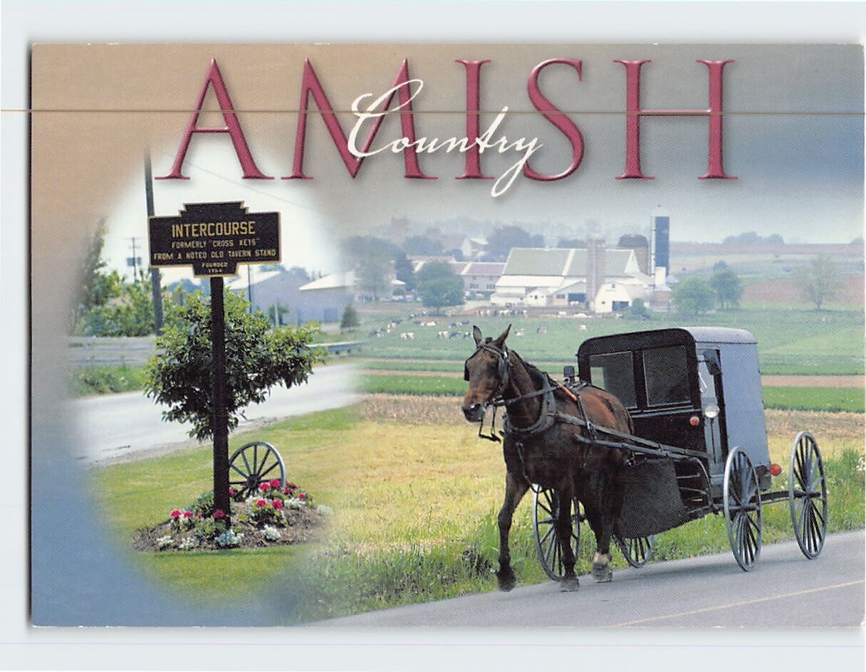 Postcard A typical Amish farm scene Amish Country Pennsylvania USA