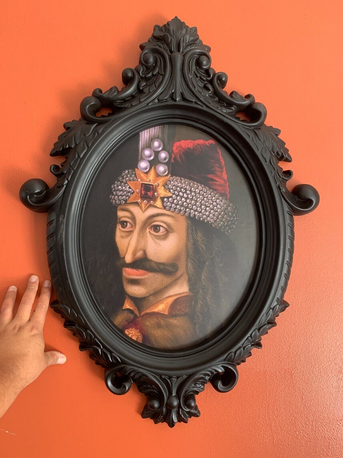 curiosities cabinet oddities frame Vlad Tepes the impaler Dracula 