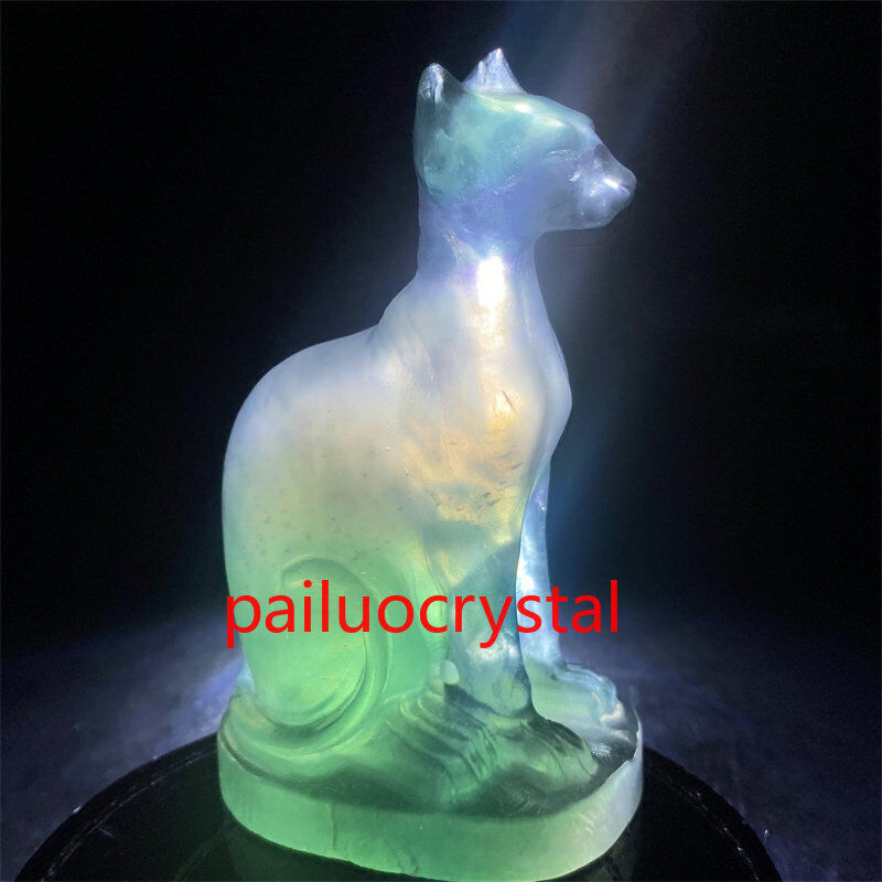 1pc Natural fluorite Hairless cat Quartz Crystal Skull Carved Figurines Reiki 3\
