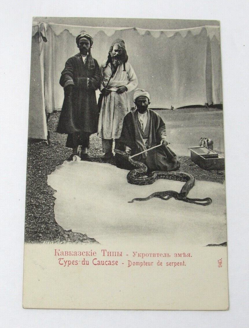 Armenia Postcard Caucasus Snake Tamer 1900s Turkey RARE