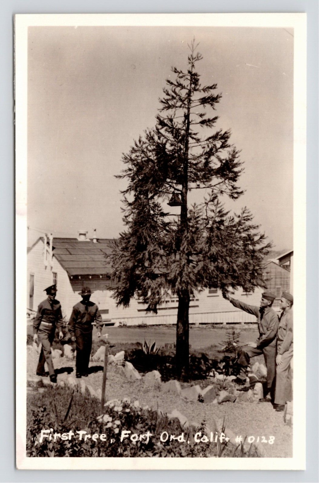 RPPC First Tree Fort Ord California Military Soldiers VTG Unused Photo Postcard