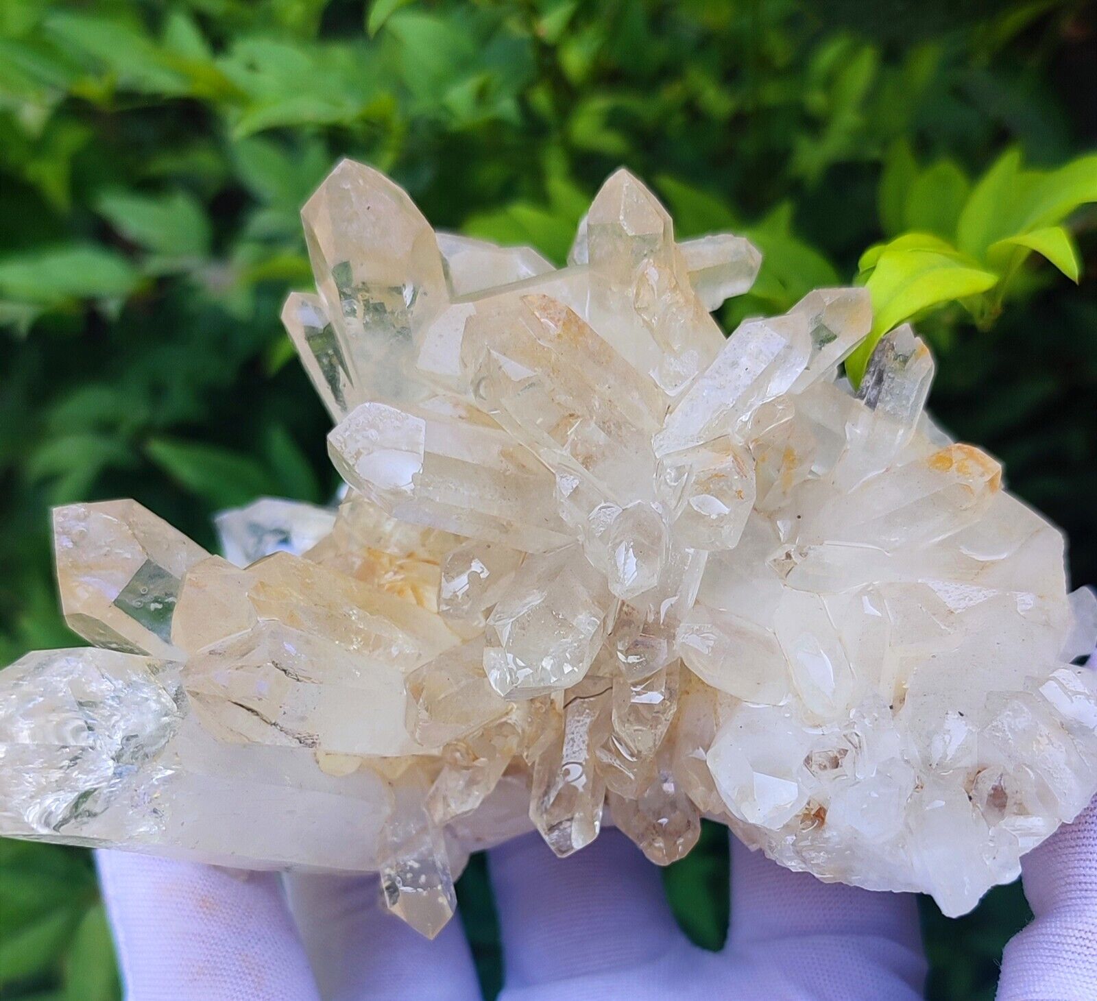 Exceptional Clear Quartz Crystal Specimen Baluchistan Pakistan