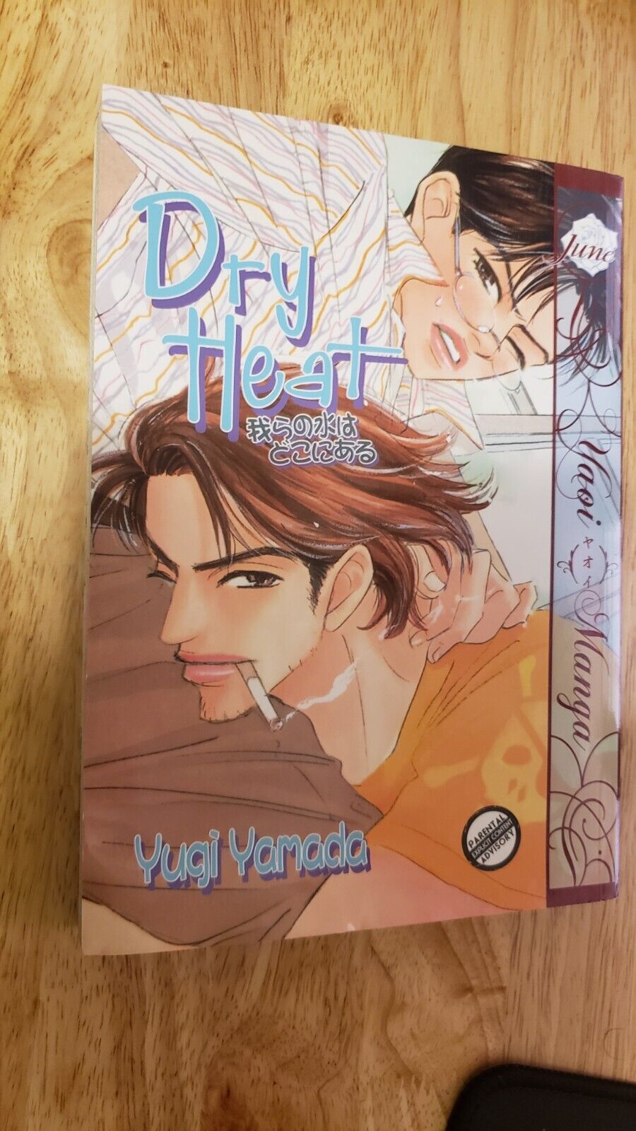 Dry Heat by Yugi Yamada (2010) rare oop AC Manga graphic novel