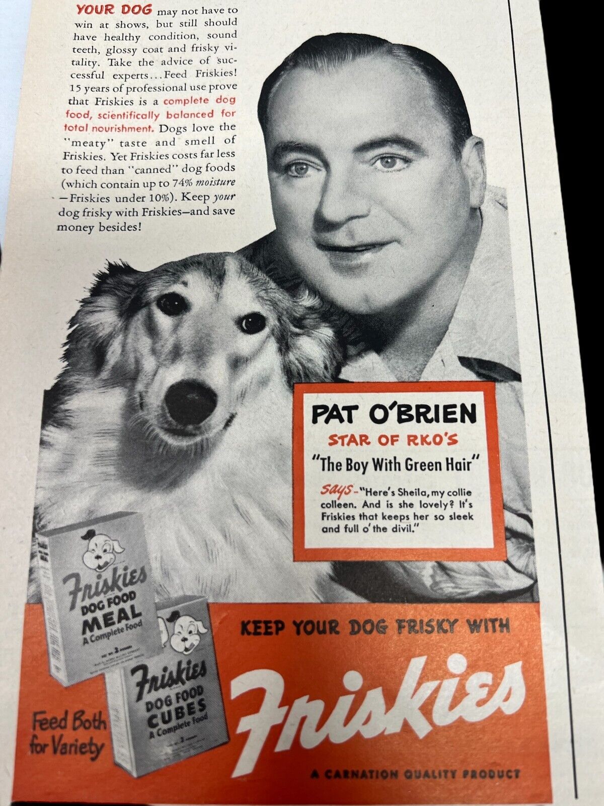 1948 Friskies Dog Food Vintage Print Ad Pat O\'Brien Collie Dog Show Dog Men