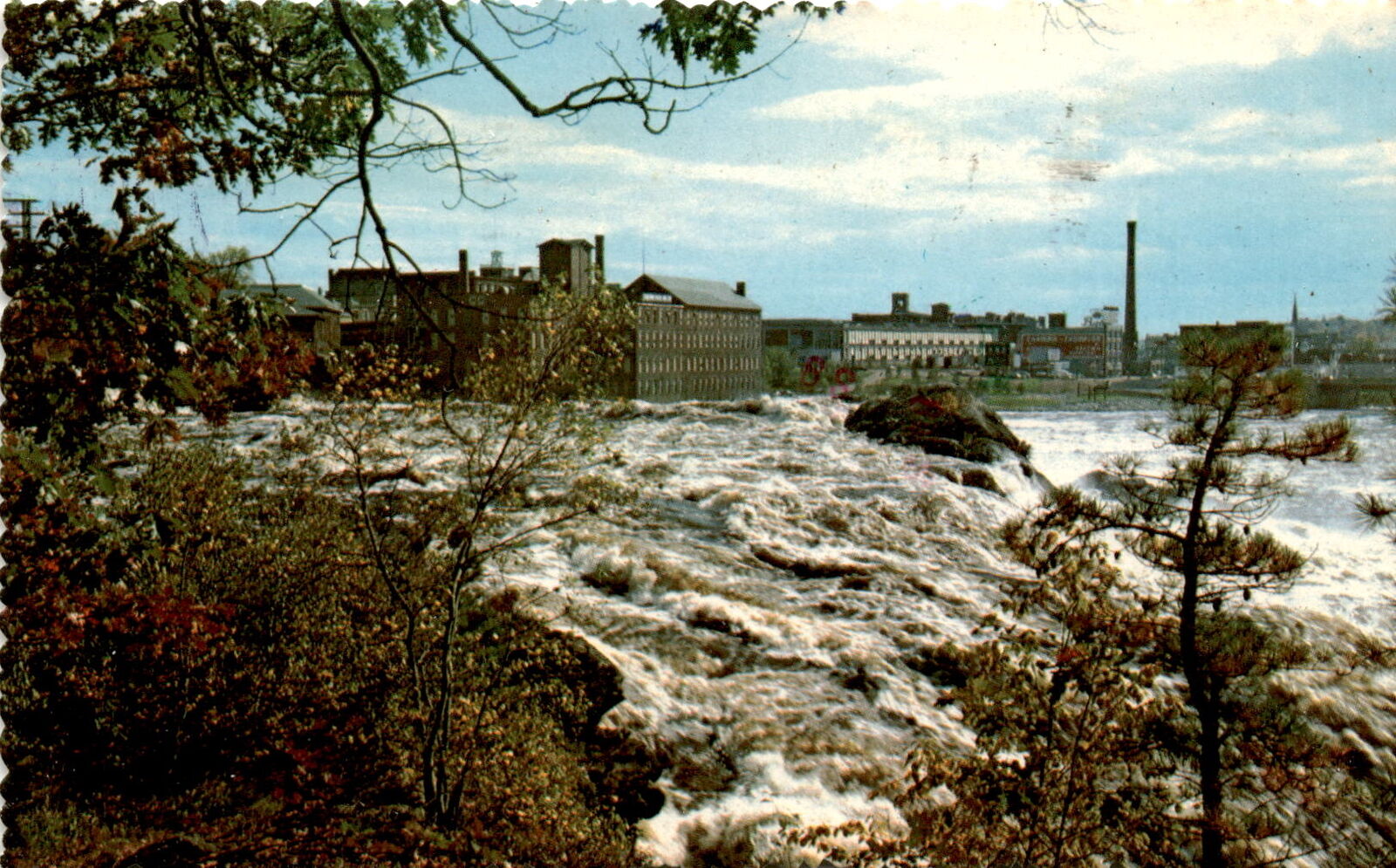 Postcard, Rosalie Caton, Campello Towers, Brockton, Massachusetts, Postcard