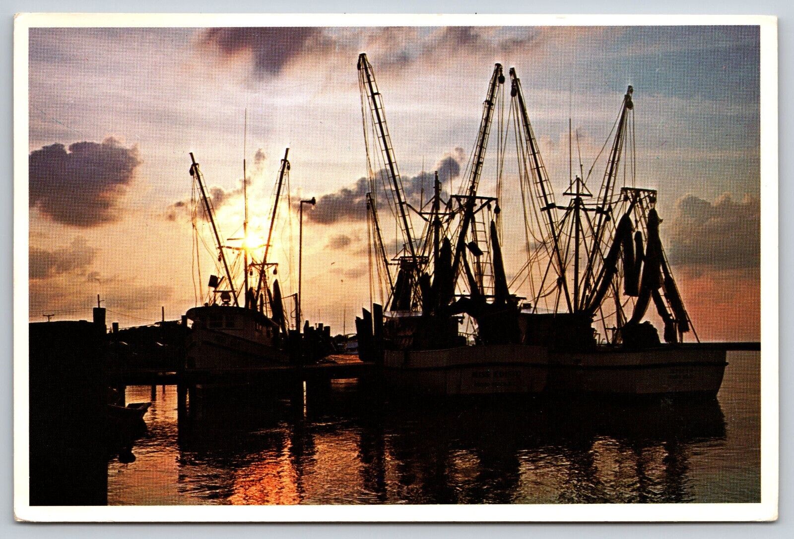 Postcard South Carolina Shrimp Boats c1992 9V